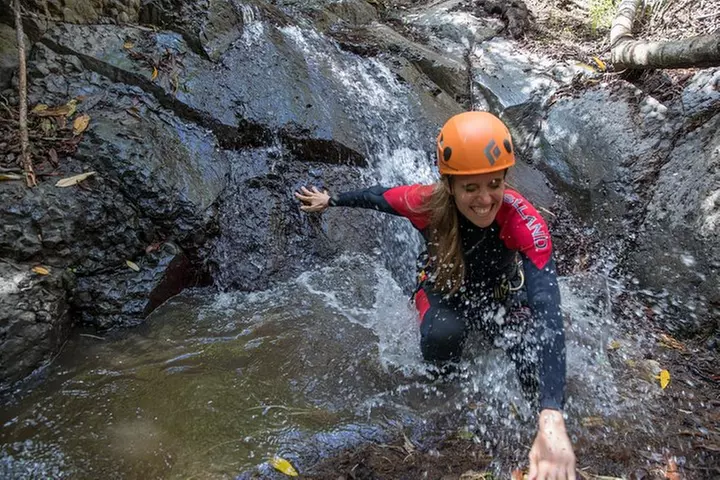 Barranquismo en el Bosque de Laurisilva ツ