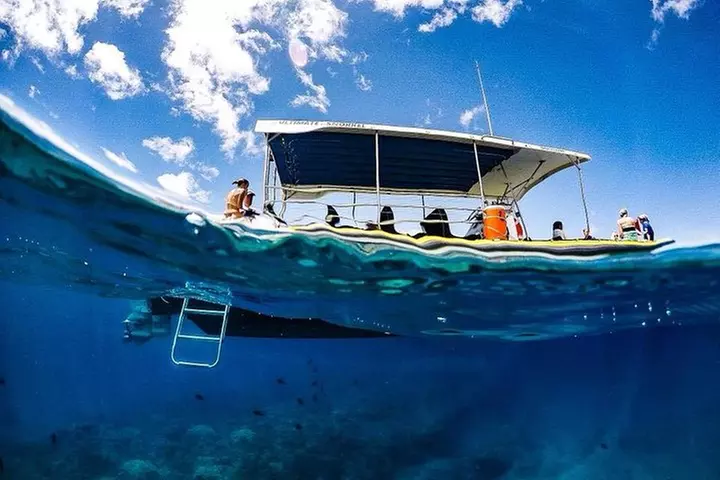 Lanai Deluxe Dolphin Adventure & 3 Snorkel Sites