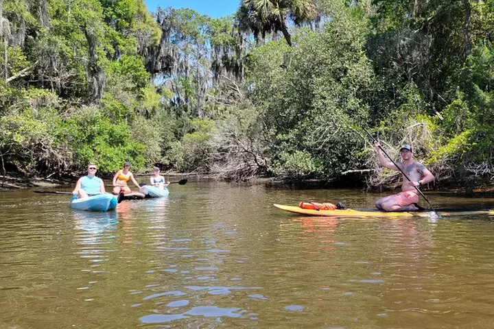 New Smyrna Dolphin and Manatee Kayak and SUP Adventure Tour