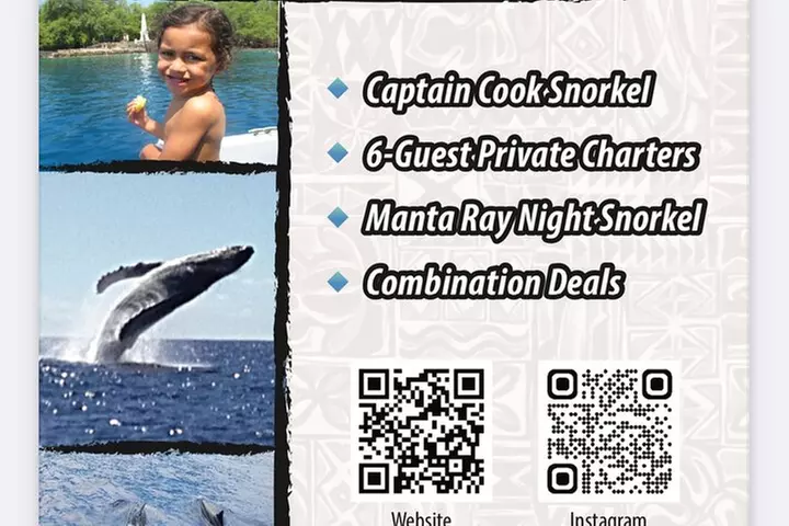 Private Charter Morning Snorkel and Wildlife Watch. Up to 18 Pax