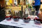 Wine Tasting with Cheese, Charcuterie, and Dessert Experience