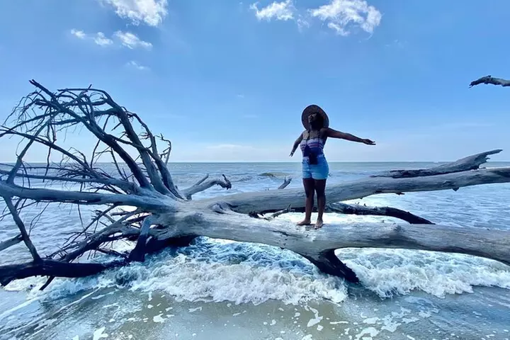 Capers Island Wildlife Exploration