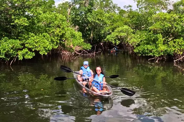 2 Hour Clear Kayak Tour at Emerson Point Preserve
