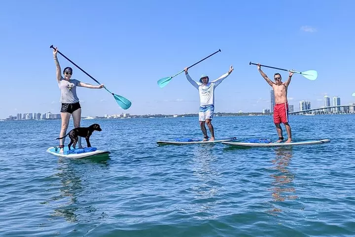 Miami Kayak and Paddleboard Rentals on Biscayne Bay