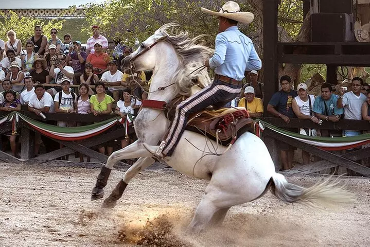 Xcaret Park Day Tour & Night Show with Transportation