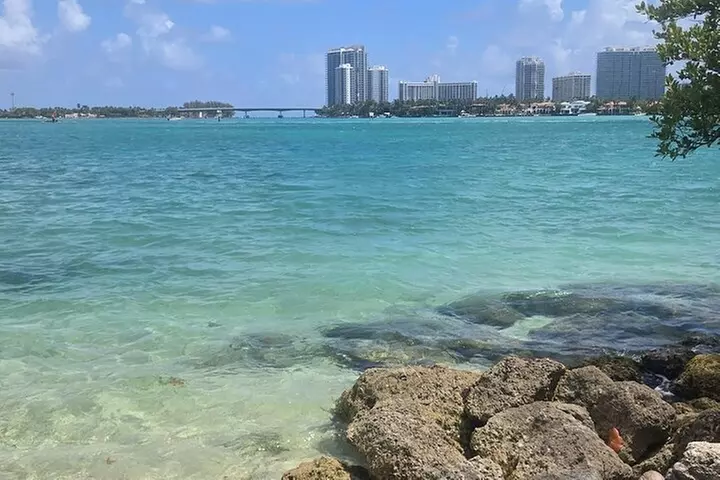 Raccoon Island Exploration on SUP/Kayak