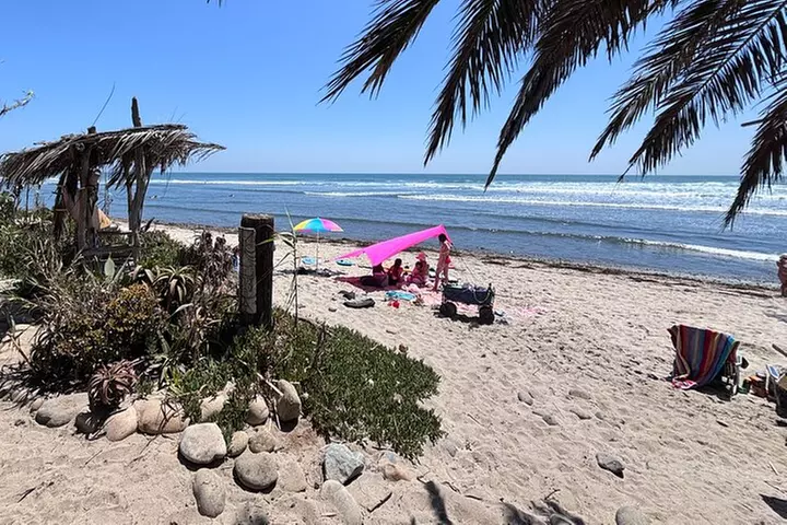 Catch Waves and Enjoy a Beach Picnic in Santa Monica