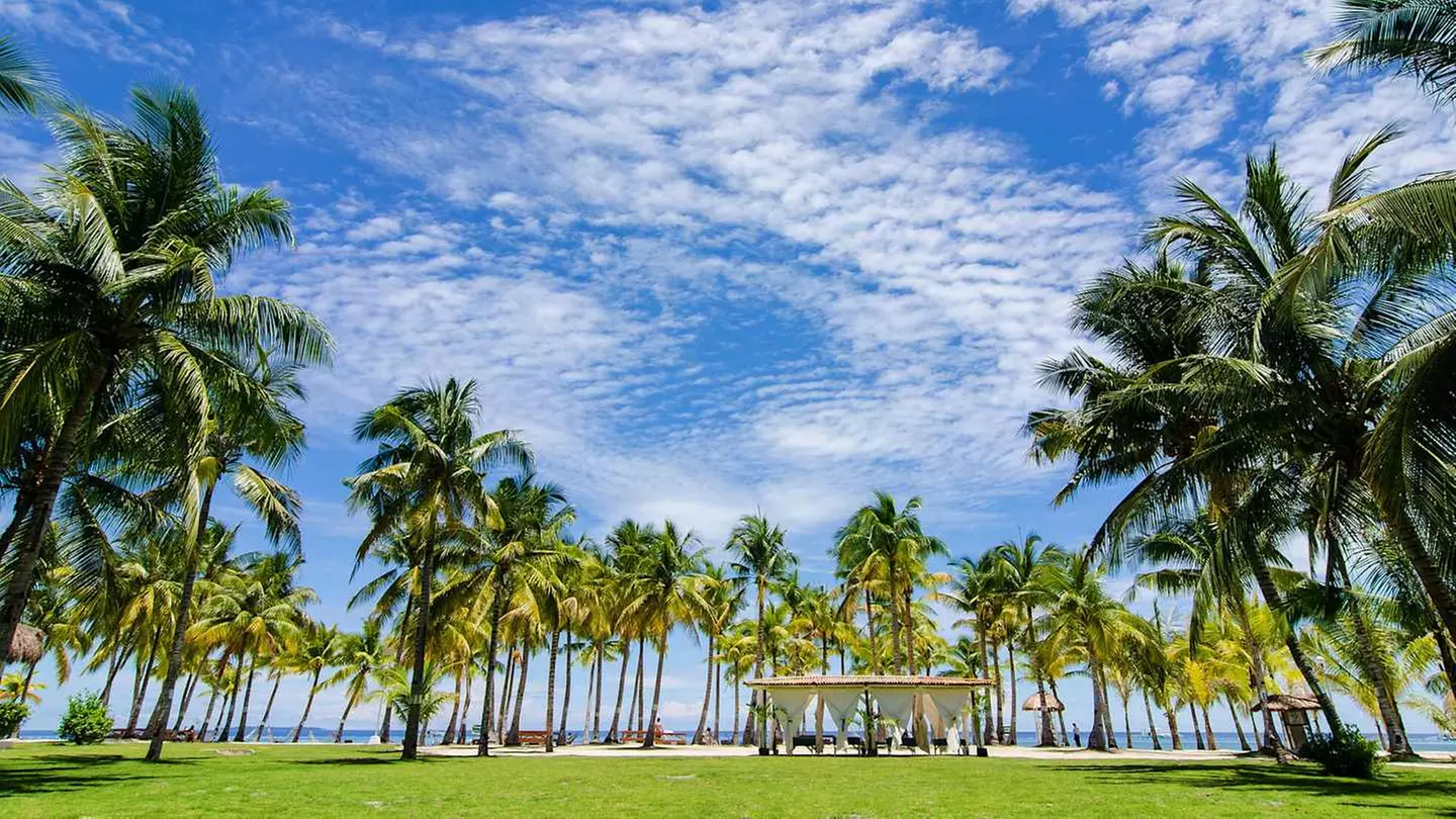 ✈ PHILIPPINES | Cebu - Cebu - Panglao Combined trip 3*, 7 nights - ...