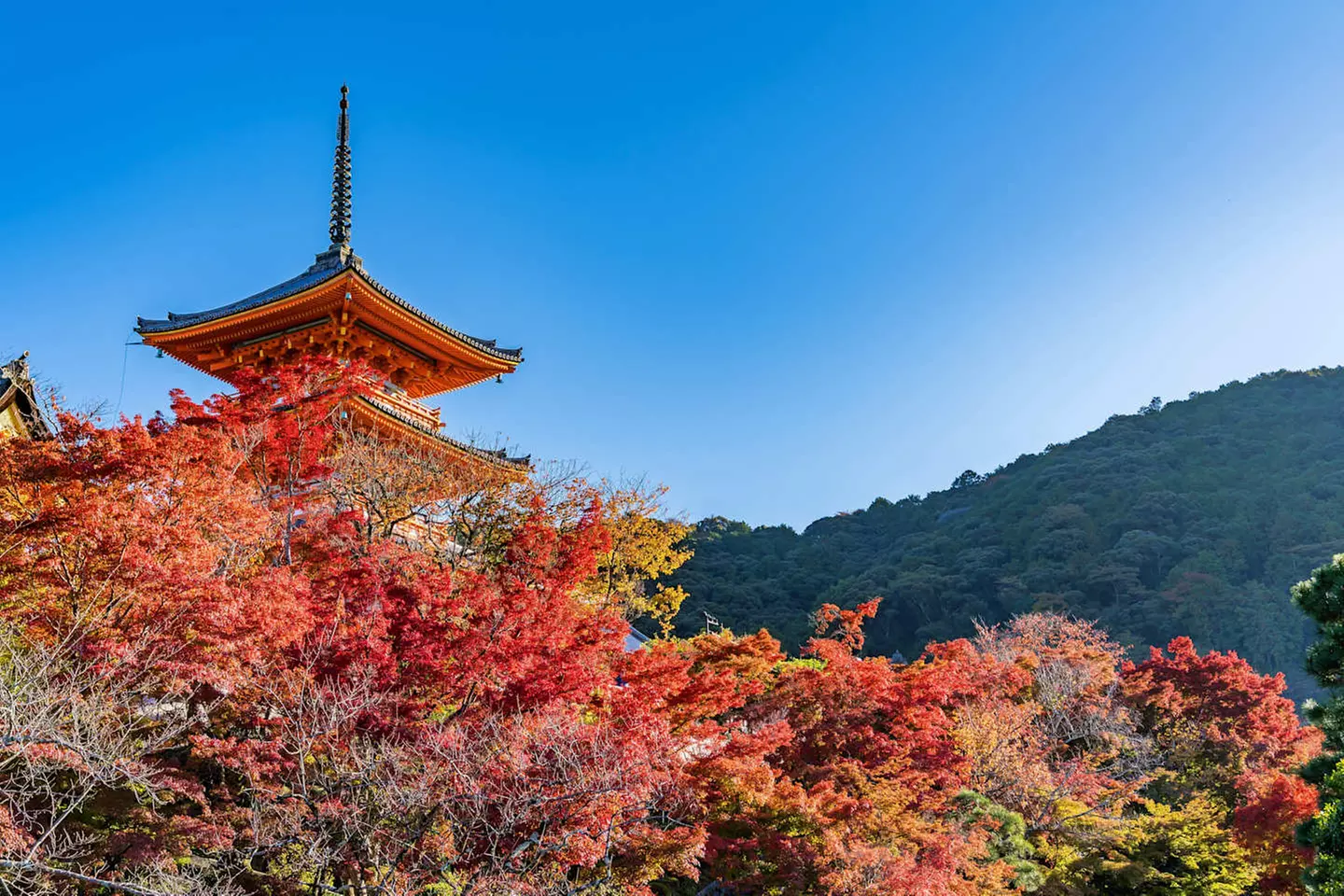 ✈ GIAPPONE | Da Osaka a Tokyo - L'odissea giapponese: grande viaggi...