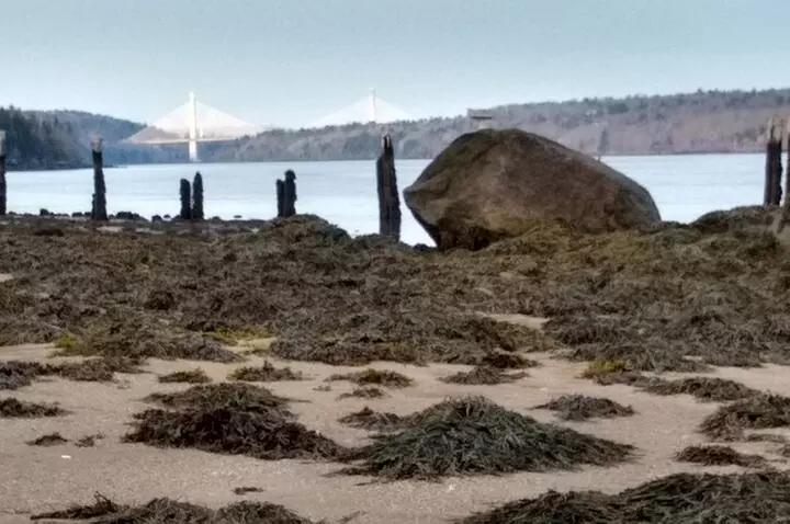 Acadia Mainland Coast Private Driving Tour