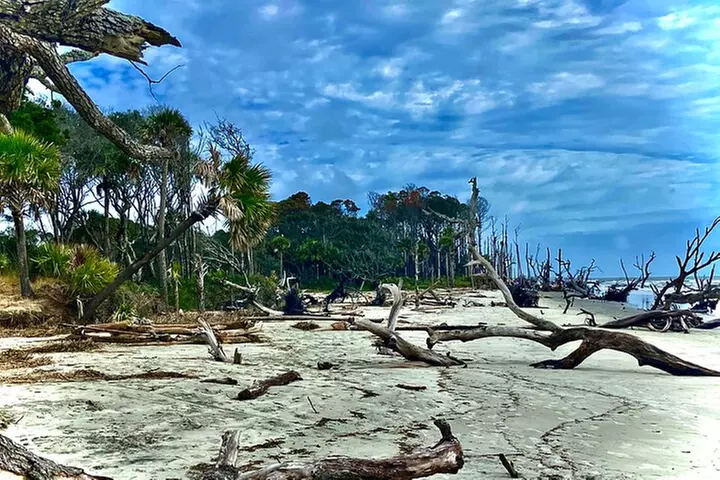 Capers Island Wildlife Exploration