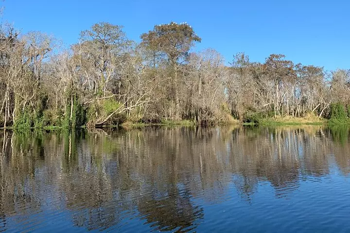Orlando Manatee and Natural Spring Adventure Tour at Blue Springs