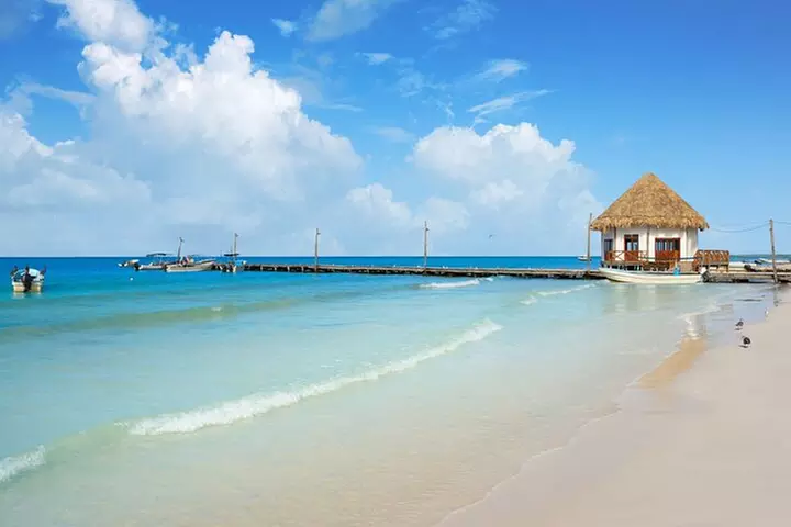 The Best of Holbox Bird Island, Passion Island and Yalahau Cenote