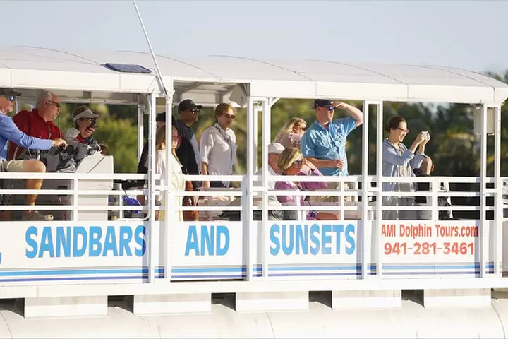 Anna Maria Island Dolphin Sightseeing Adventure