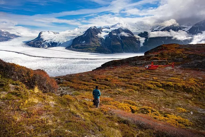 Custom Helicopter Hiking Adventure-Half Day-Anchorage Area