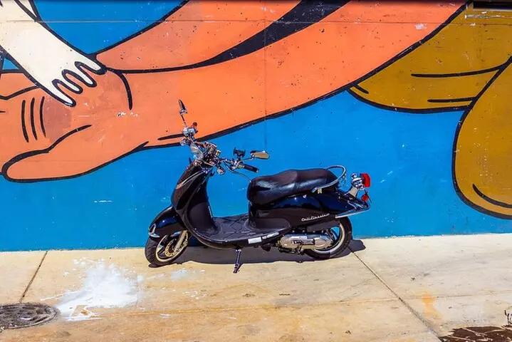 Explore Chicagos Museum Campus Ride