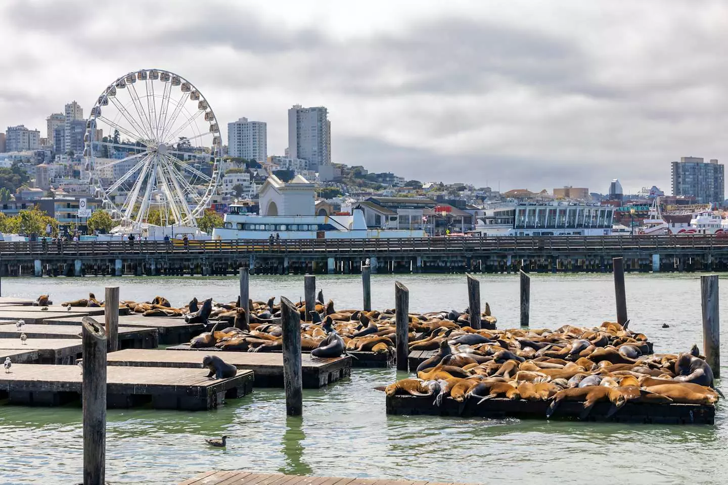 ✈ NEVADA | Las Vegas - L'Ovest americano on the road 3*, 14 notti -...