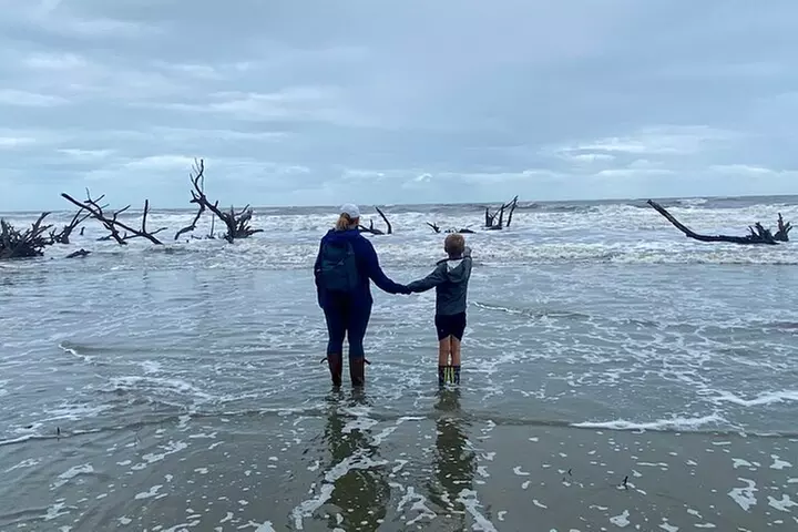 Capers Island Wildlife Exploration