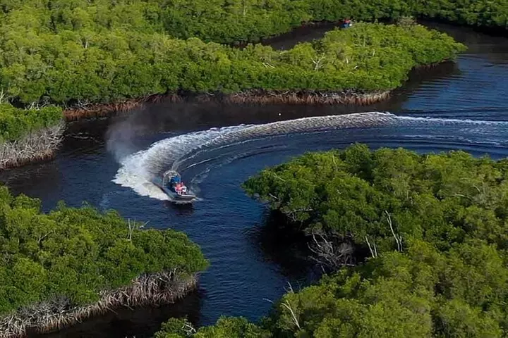 Miami: Everglades Airboat Adventure Tour + Biscayne