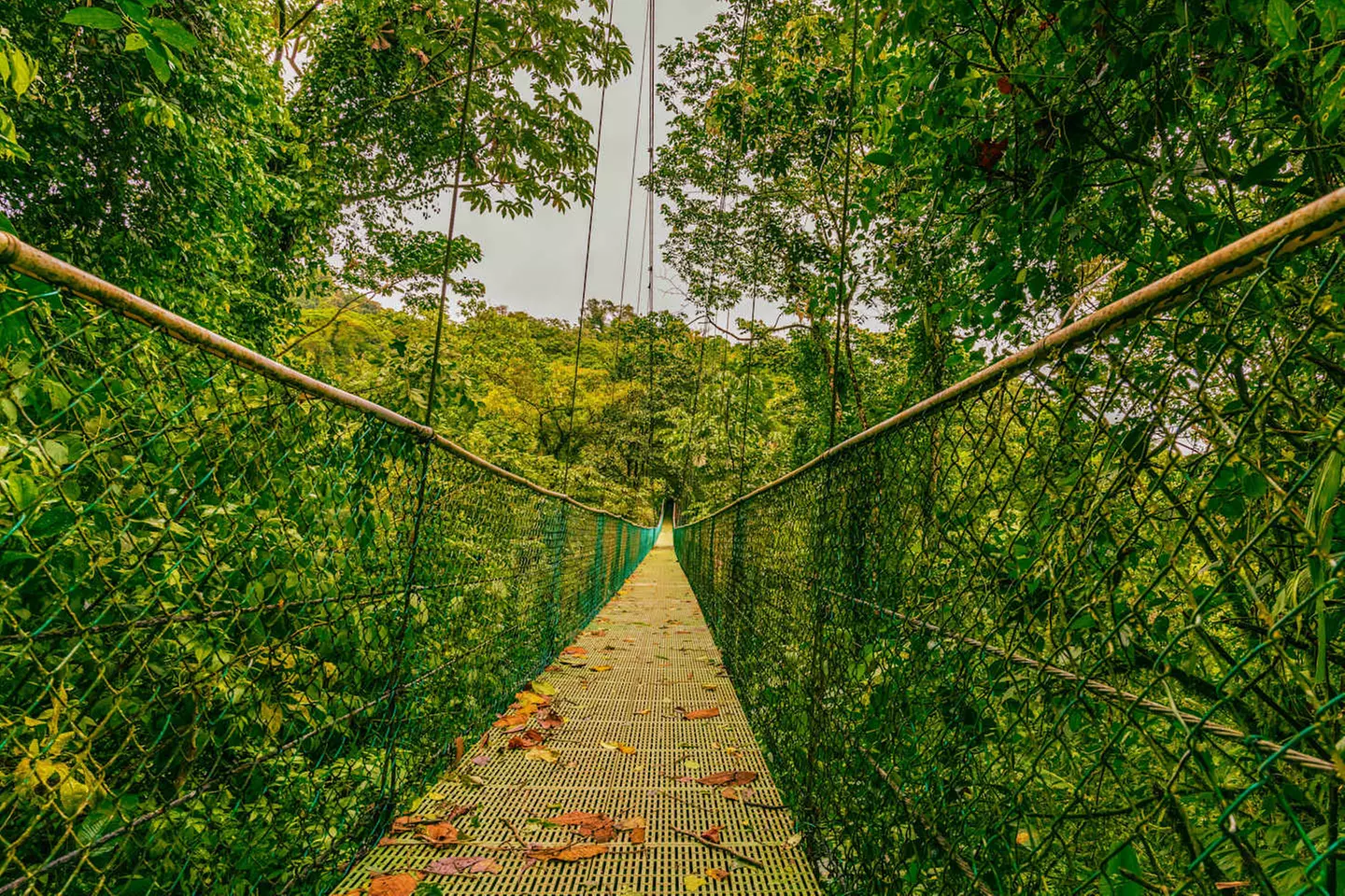 ✈ COSTA RICA | San José - L'Essenza del Costa Rica 4*, 9 notti - Vi...