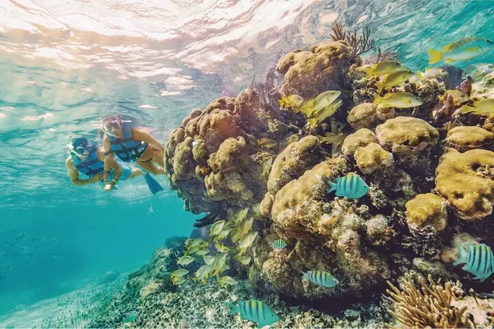 Island Water Park Zip and Snorkel Combo