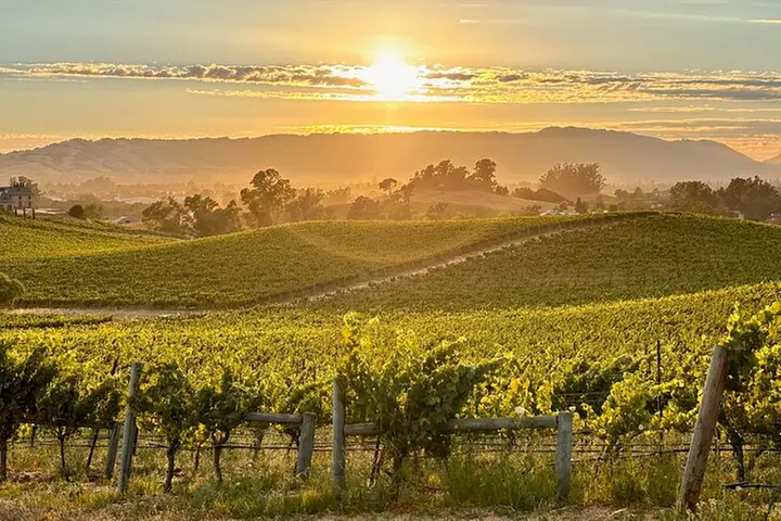 Sonoma Private 6-Hour Wine Adventure