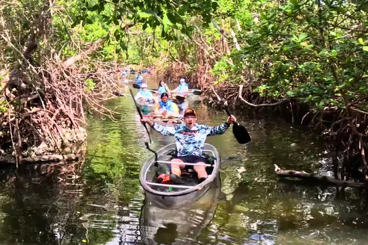 2 Hour Clear Kayak Tour at Emerson Point Preserve
