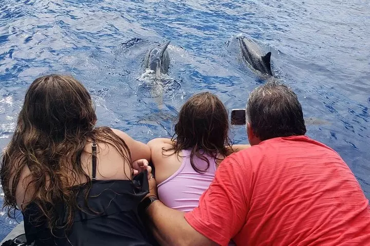 Private Charter Morning Snorkel and Wildlife Watch. Up to 18 Pax