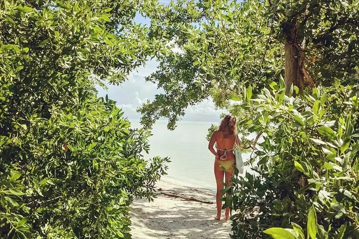 Holbox adventure and Pasion Island Cenote