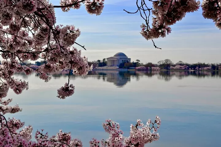 Top Tidal Basin Explorer of Thomas Jefferson FDR & MLK Memorials