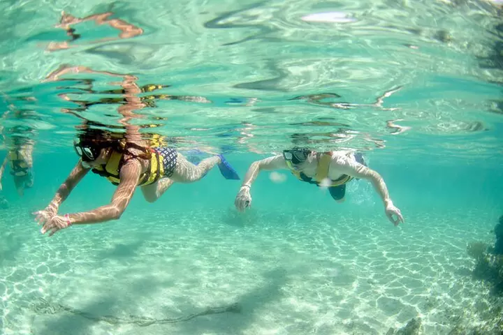 Discover El Cielo and Cozumel Snorkeling Adventure