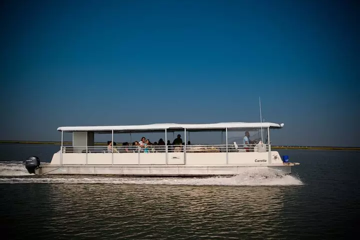 Capers Island Wildlife Exploration