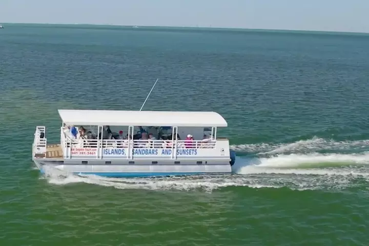 Anna Maria Island Dolphin Sightseeing Adventure