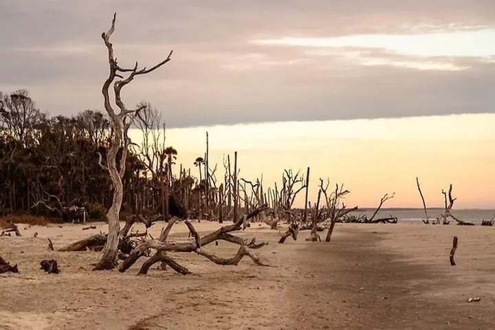 Dolphin Discovery Sunset Cruise