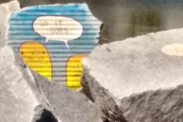 Acadia Mainland Coast Private Driving Tour