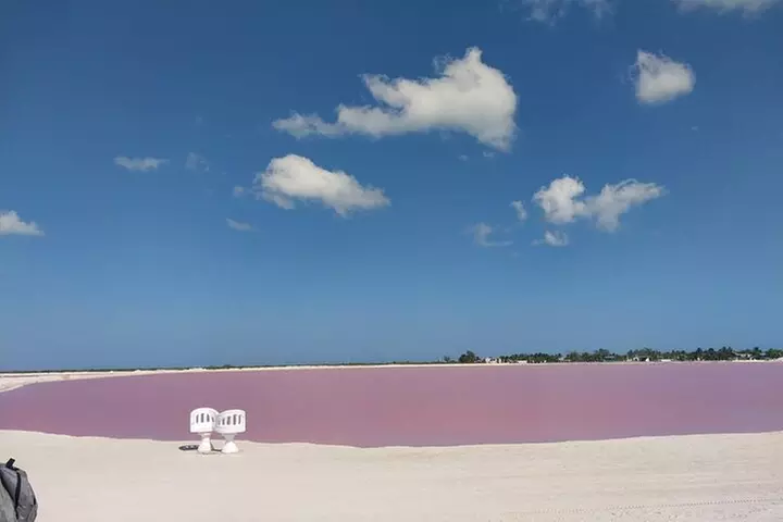 Rio Lagartos and Las Coloradas Day Tour from Cancun