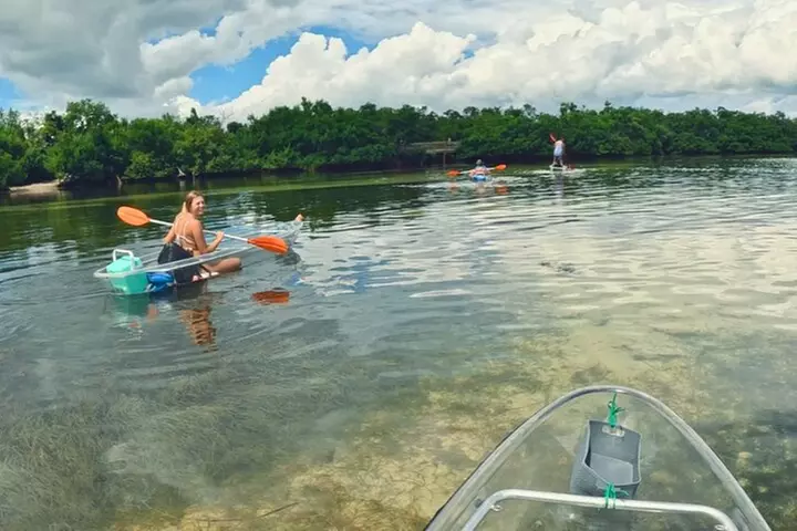 2-Hour Clear Kayak Mangrove Tunnel Eco Tour - Sarasota