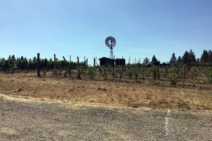 Columbia Valley and Columbia Gorge Wine Tasting