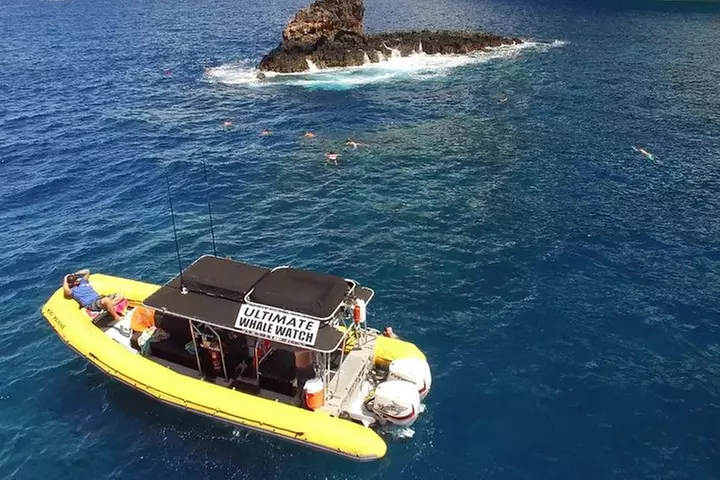 Lanai Deluxe Dolphin Adventure & 3 Snorkel Sites