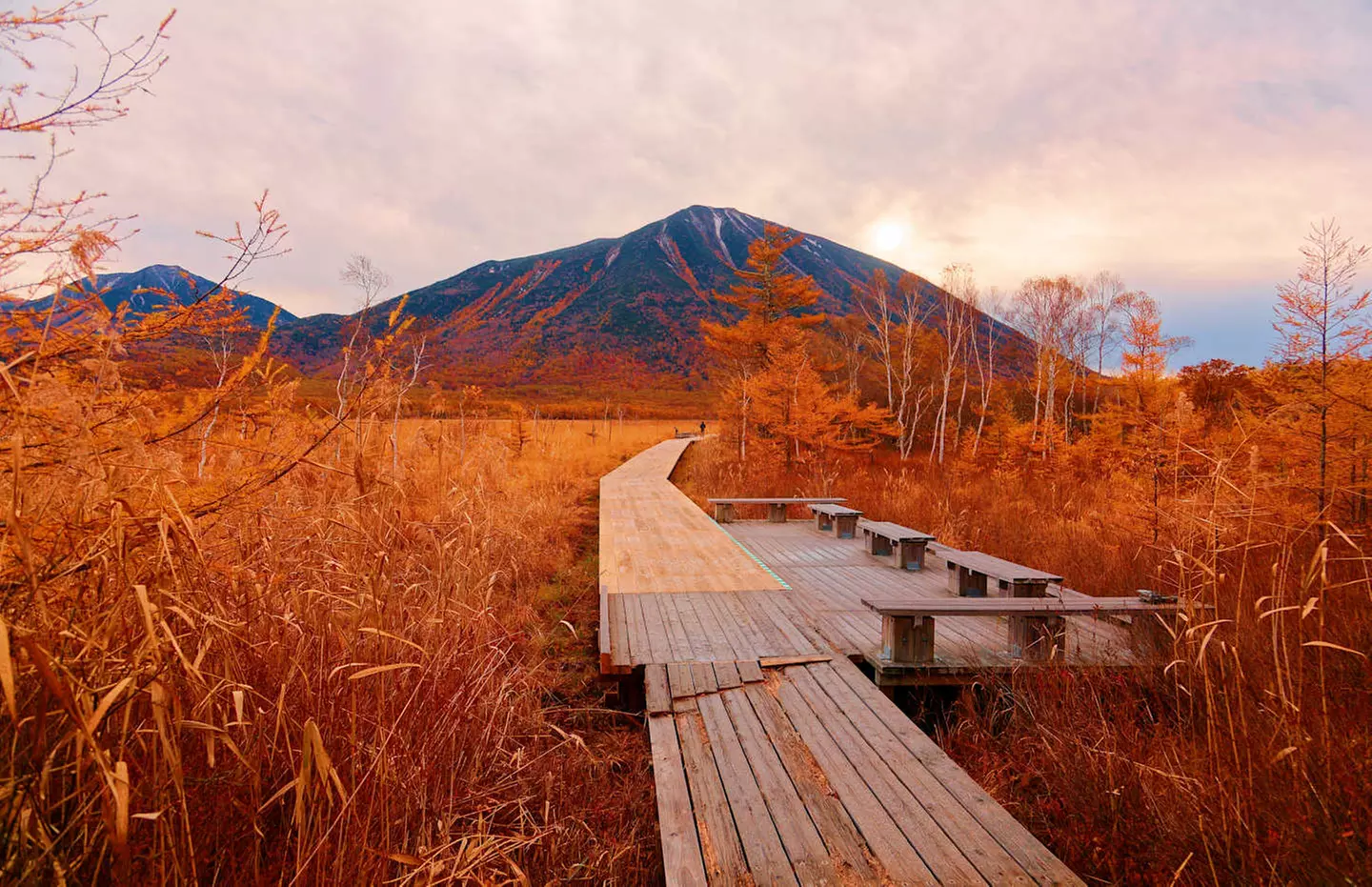 ✈ GIAPPONE | Da Osaka a Tokyo - L'odissea giapponese: grande viaggi...