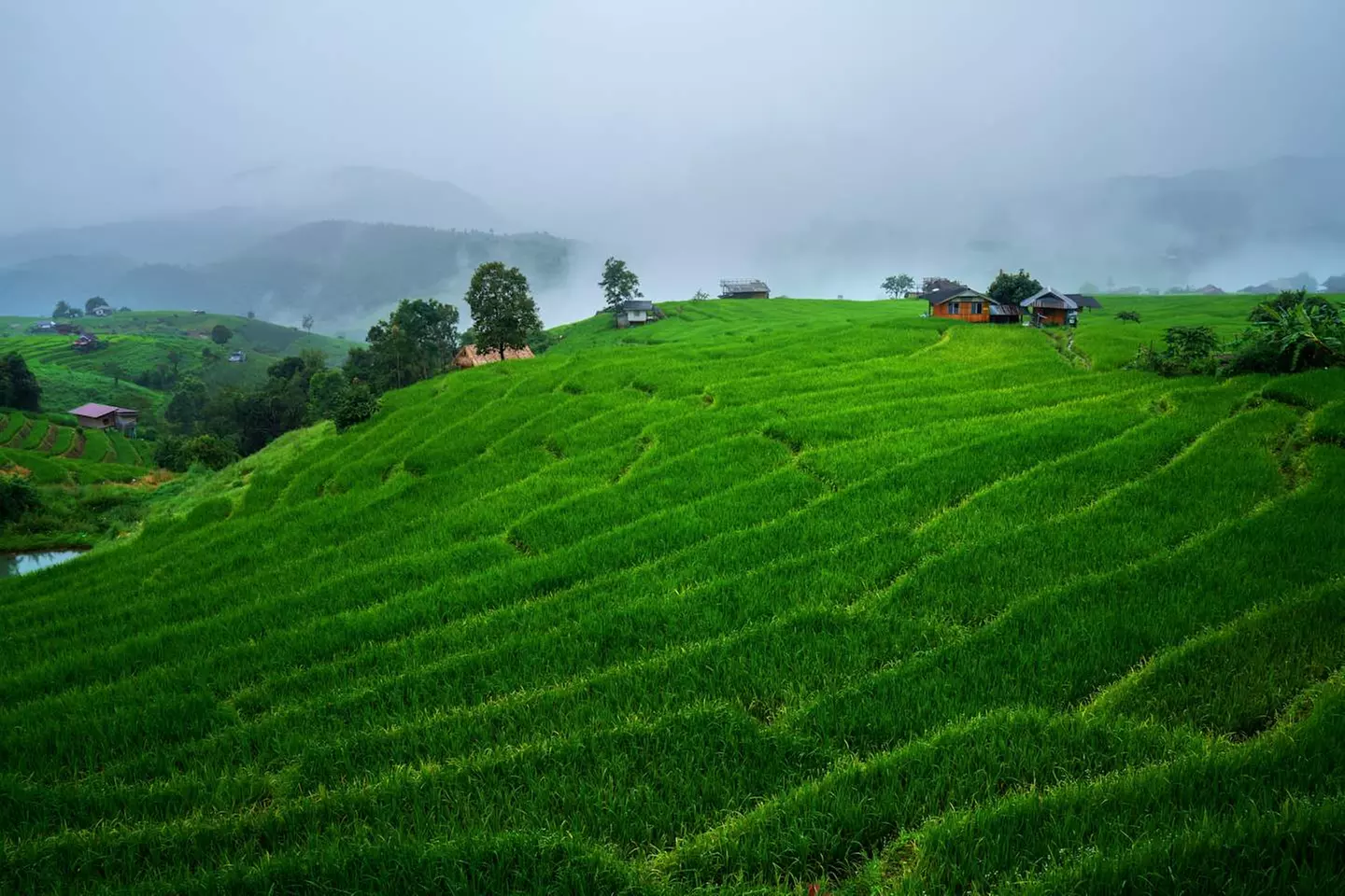 ✈ THAILAND | Von Bangkok nach Phuket - Pauschalreise Bangkok – Phuk...