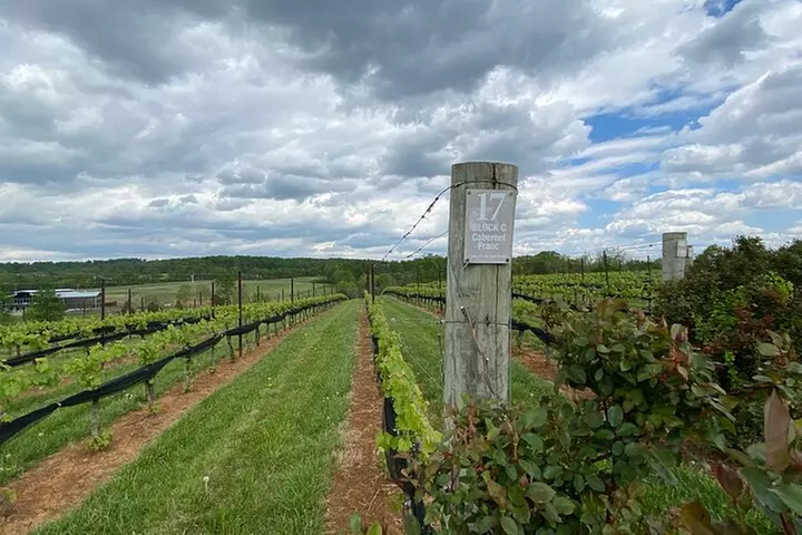 Virginia Wineries Tour