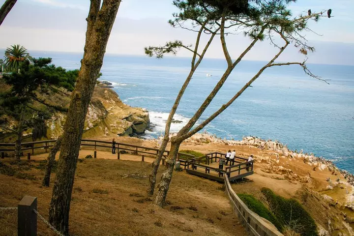 La Jolla Electric Bike Tour