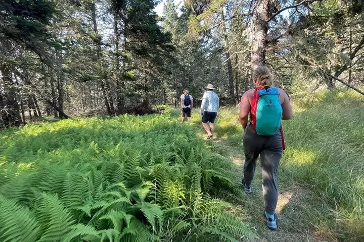 6 Hours Monroe Island Adventure Experience