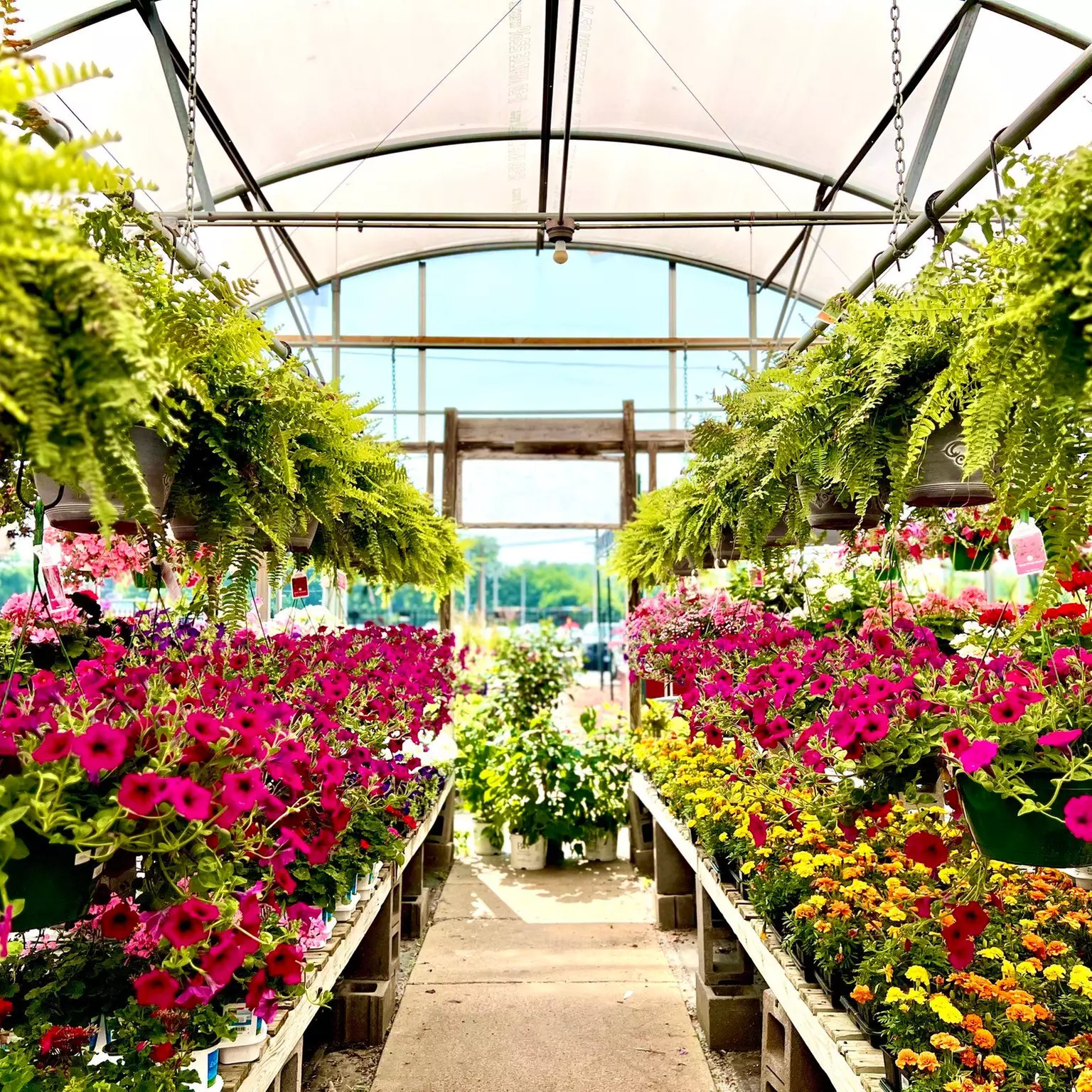 $25 For $50 Toward Any Purchase