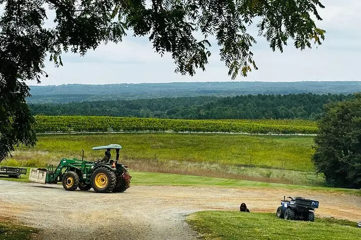 Virginia Wineries Tour