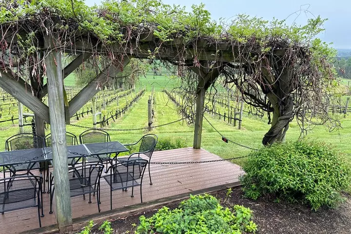 Virginia Wineries Tour