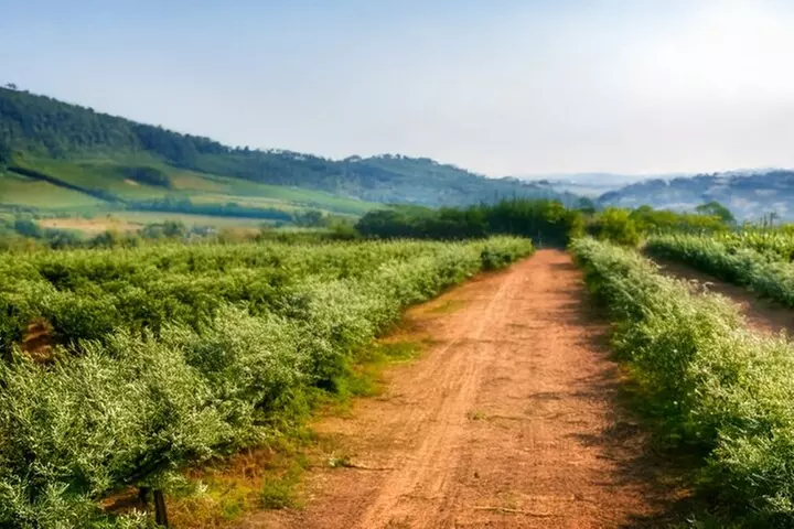 Fredericksburg Luxury Shopping and History and Culture Tour