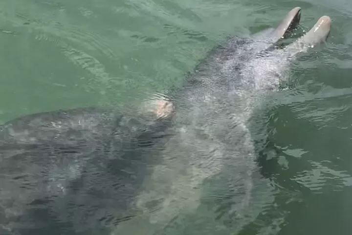 Island Hopping and Snorkeling Trip