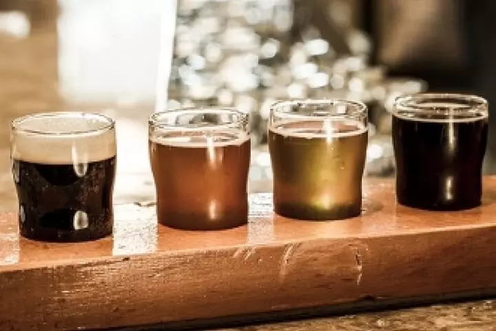 Chicago-Style Holiday Hike: Festive Food and Walking Tour